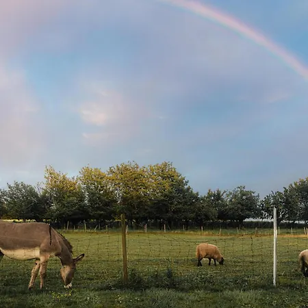 Appartamentino - Stilvolle Einliegerwohnung Nahe Freiburg * Heuweiler