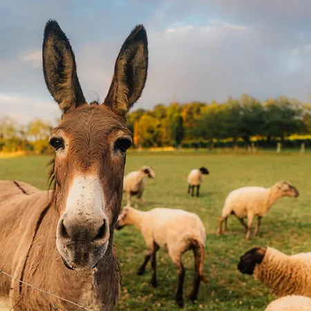 Appartement Appartamentino - Stilvolle Einliegerwohnung Nahe Freiburg *