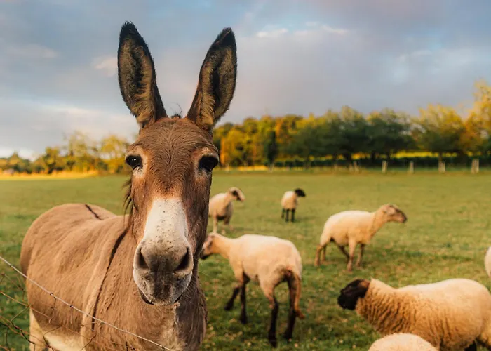 Апартаменты Appartamentino - Stilvolle Einliegerwohnung Nahe Freiburg *
